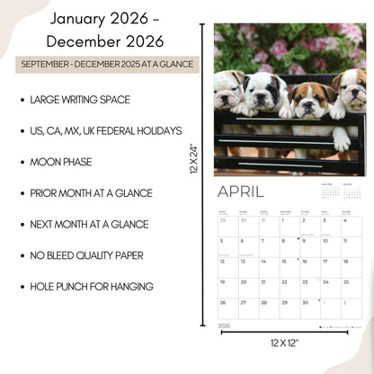 '26 Wall Calendar - Dogs