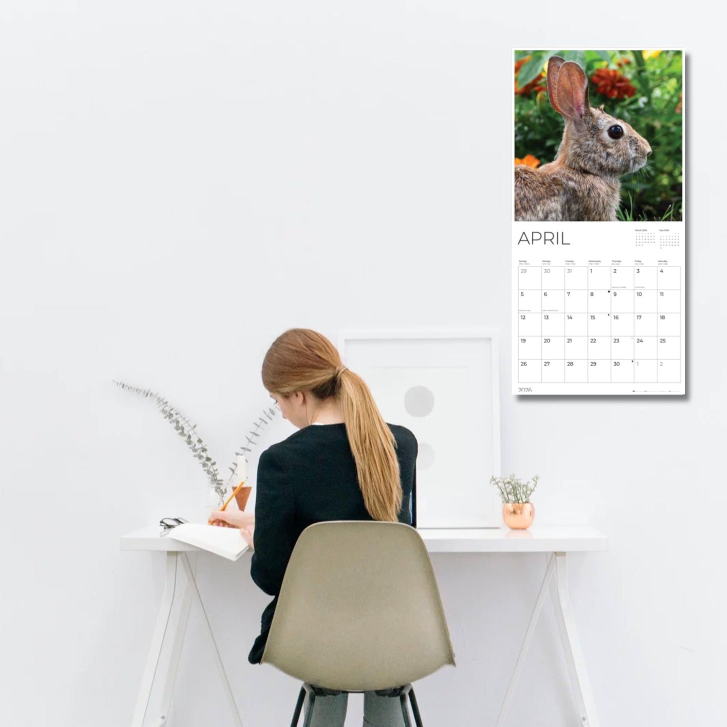 '26 Wall Calendar - Baby Animals