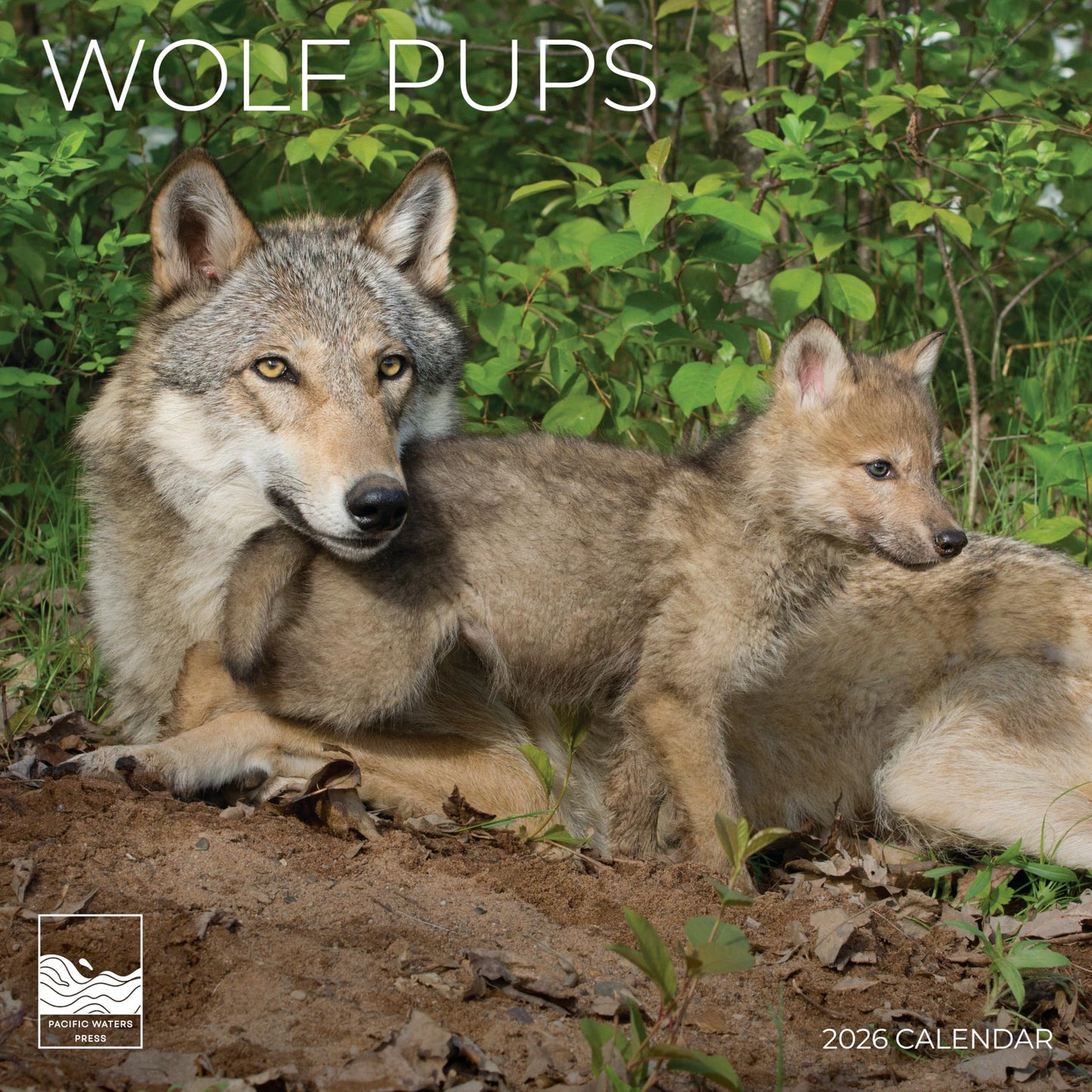 '26 Wall Calendar - Baby Animals