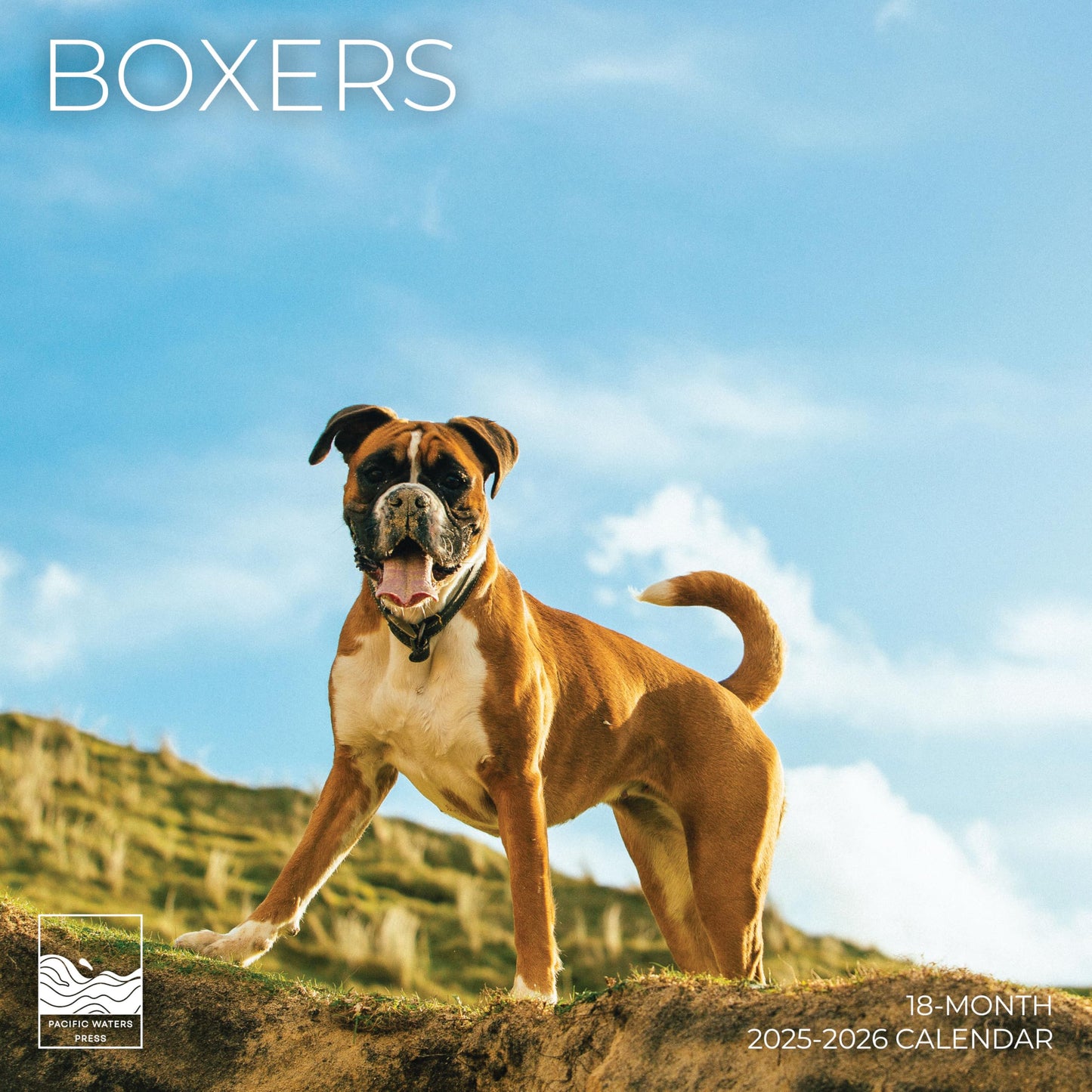 '26 Wall Calendar - Dogs - 18mo
