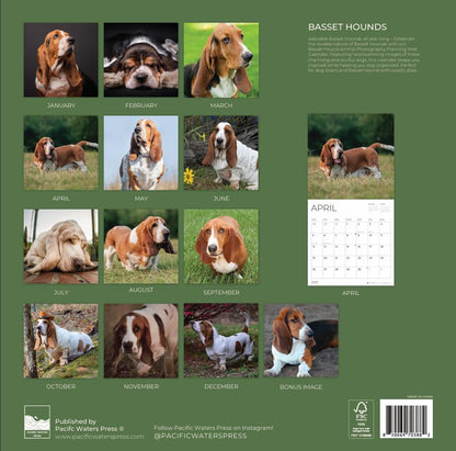 '26 Wall Calendar - Dogs
