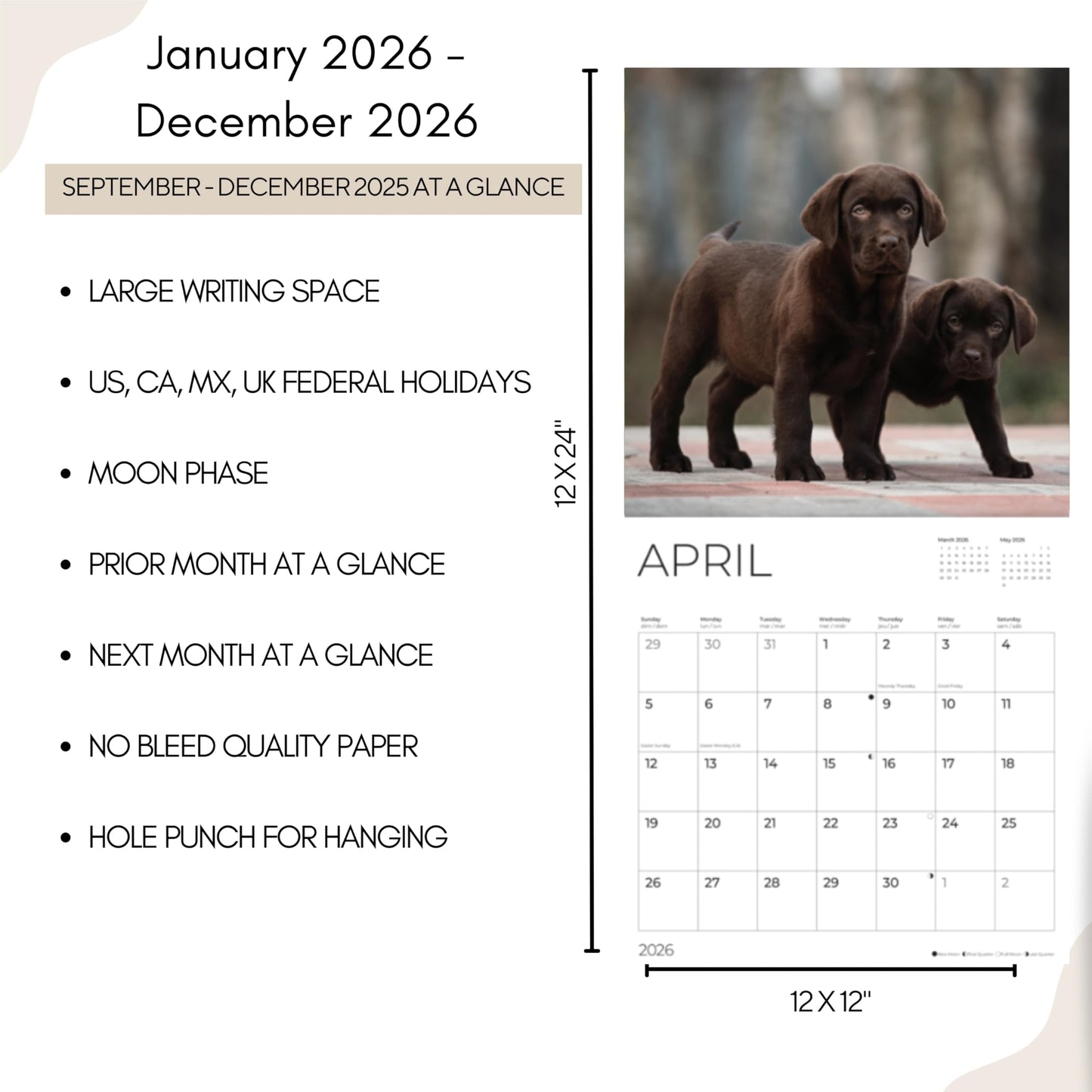 '26 Wall Calendar - Dogs