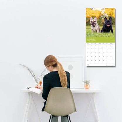 '26 Wall Calendar - Dogs - 18mo