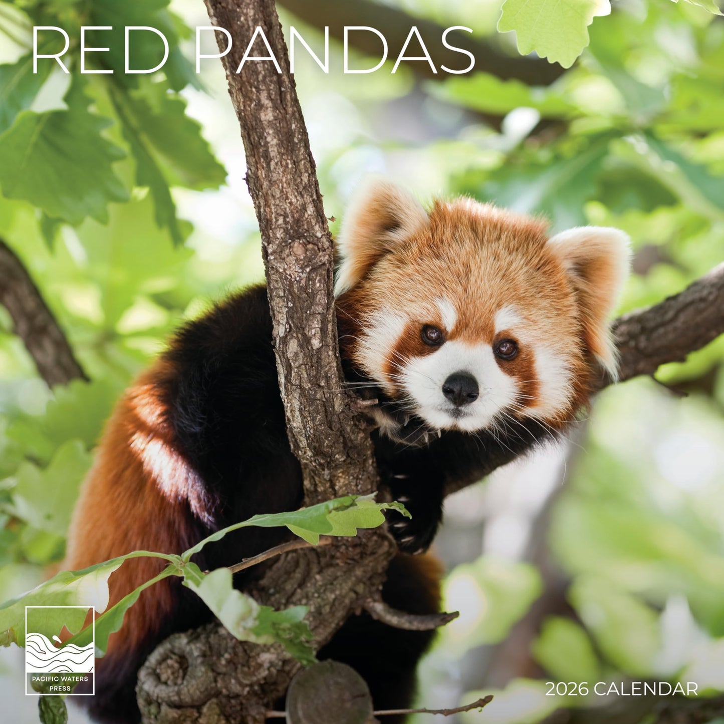 '26 Wall Calendar - Baby Animals