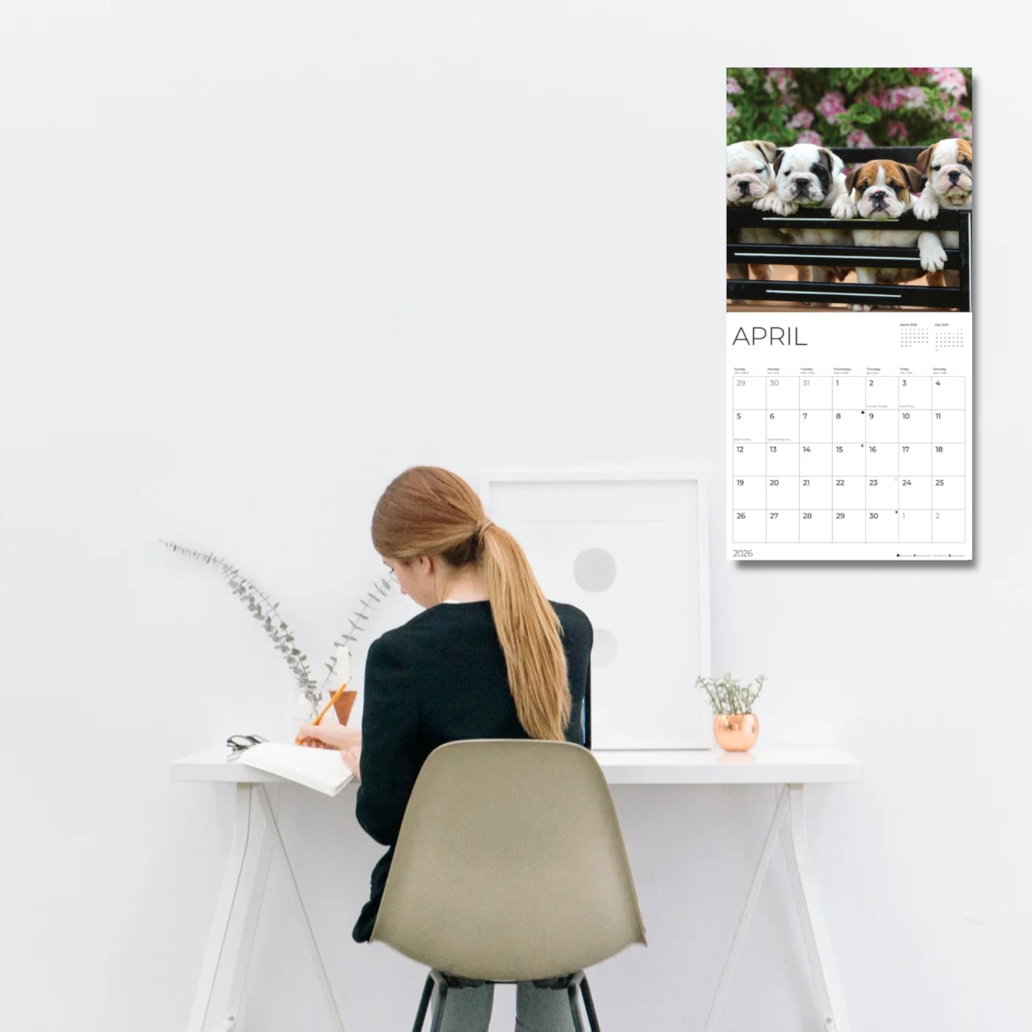 '26 Wall Calendar - Dogs
