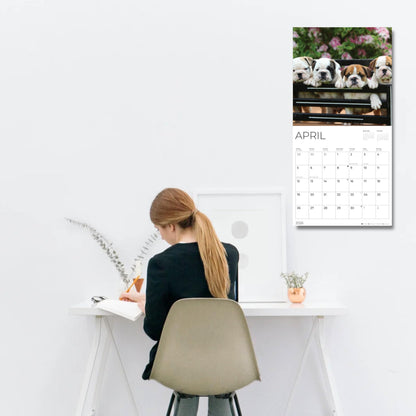 '26 Wall Calendar - Dogs