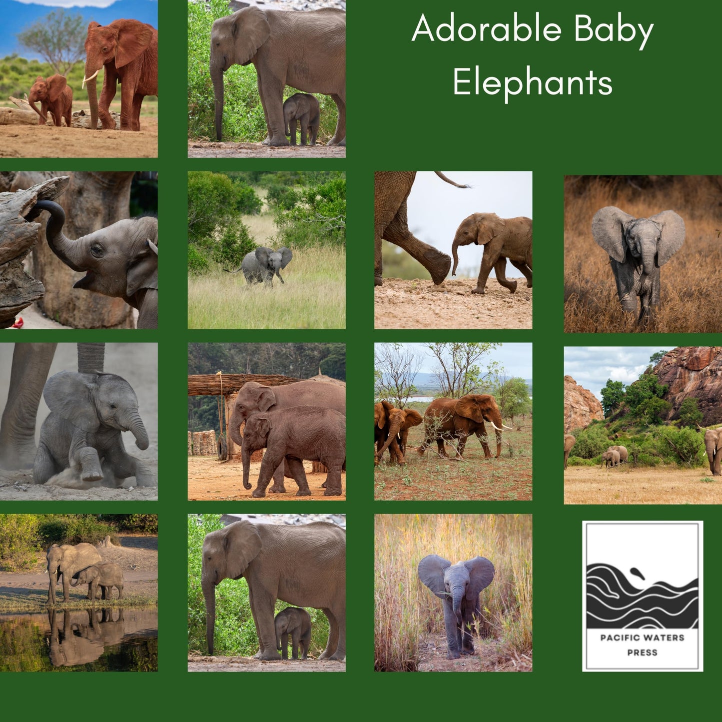 '26 Wall Calendar - Baby Animals