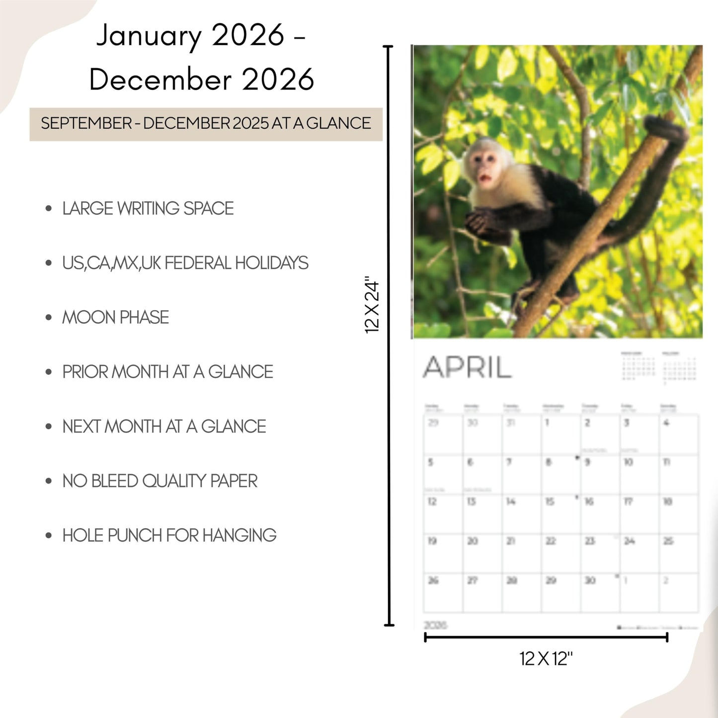 '26 Wall Calendar - Baby Animals