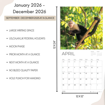 '26 Wall Calendar - Baby Animals