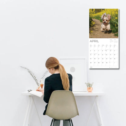 '26 Wall Calendar - Baby Animals