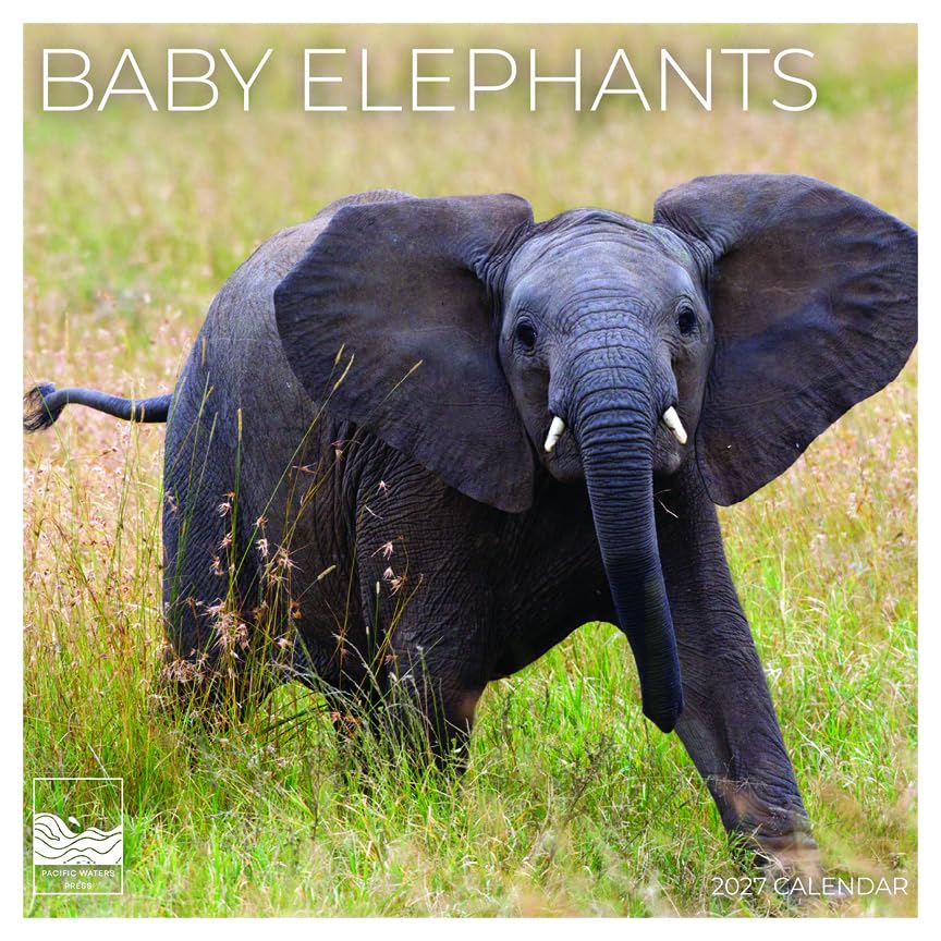 '27 Wall Calendar - Baby Elephants
