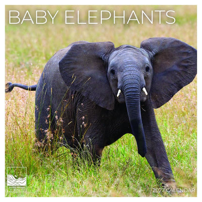 '27 Wall Calendar - Baby Elephants