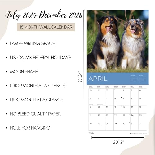 '26 Wall Calendar - Dogs - 18mo