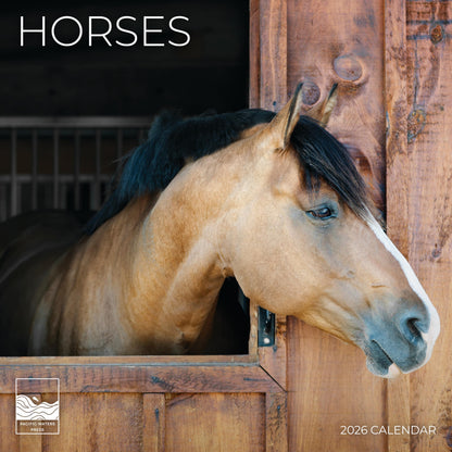 '26 Wall Calendar - Baby Animals