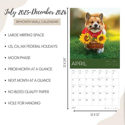 '26 Wall Calendar - Dogs - 18mo