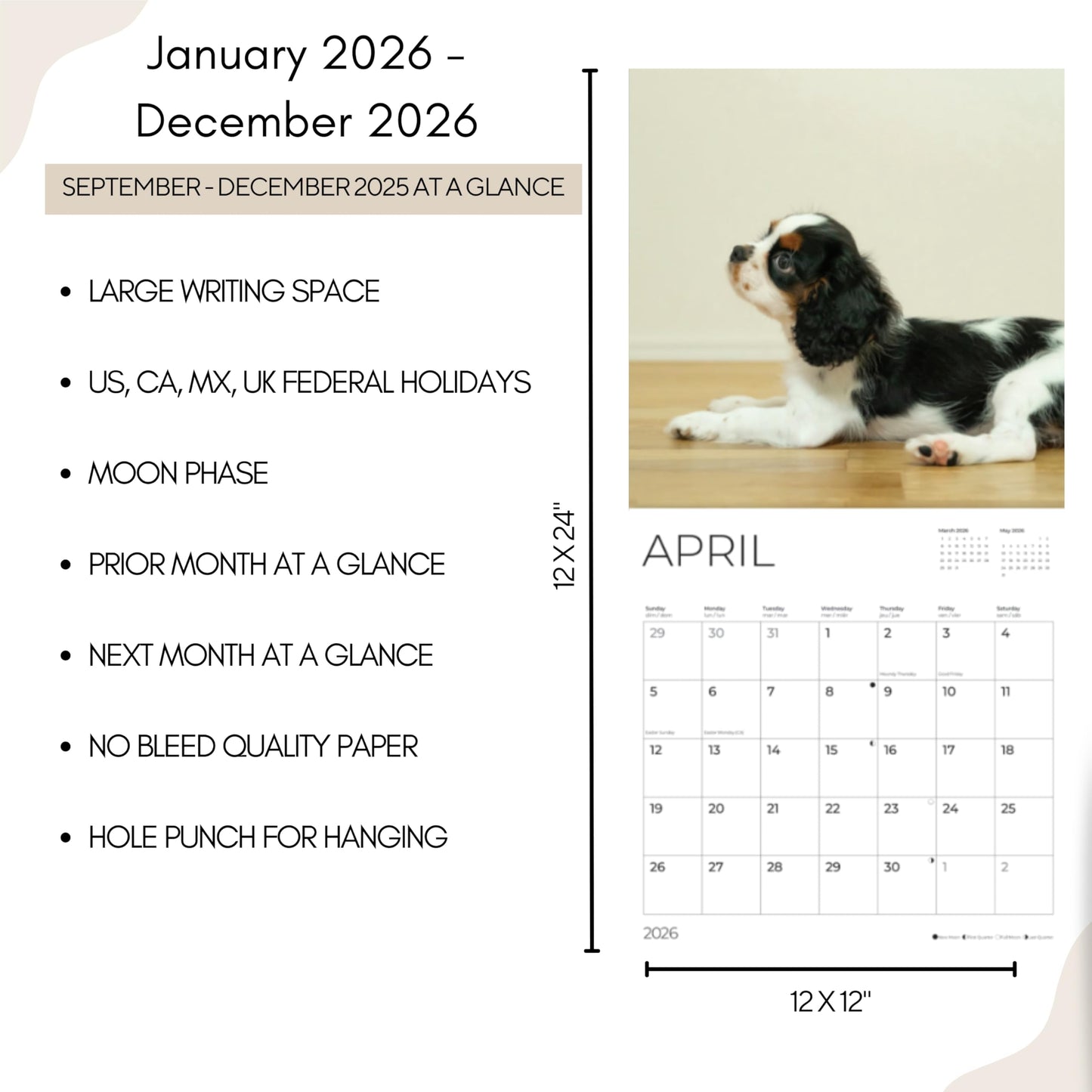 '26 Wall Calendar - Dogs