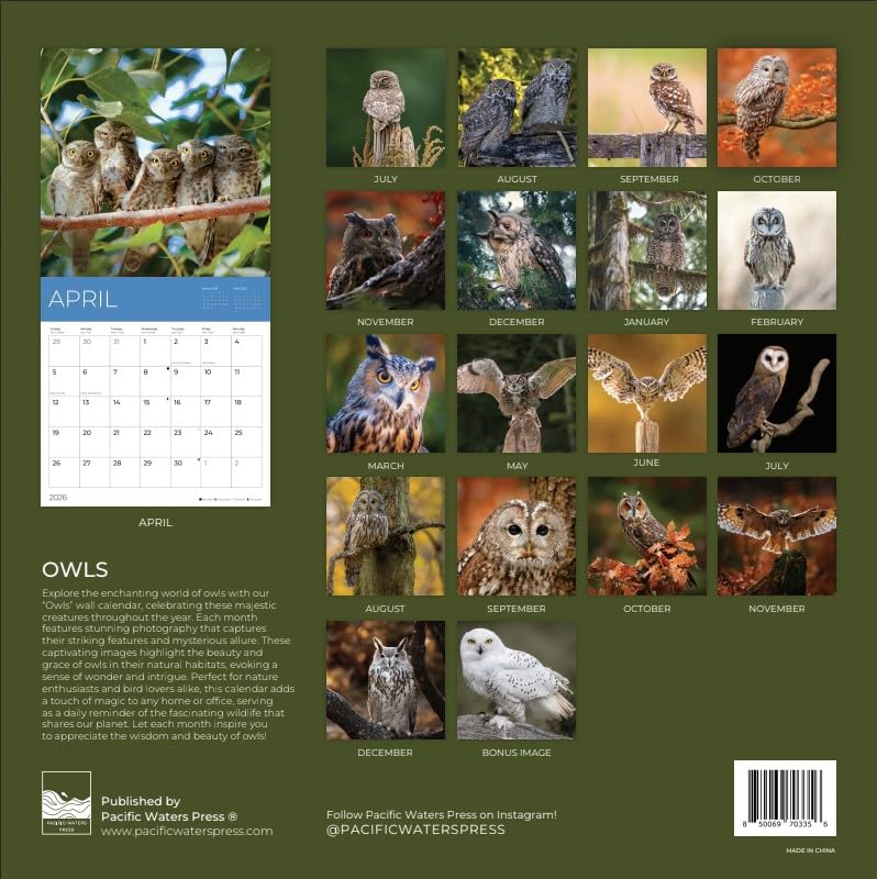 '26 Wall Calendar - Cows, Owls, & Woodland Creatures