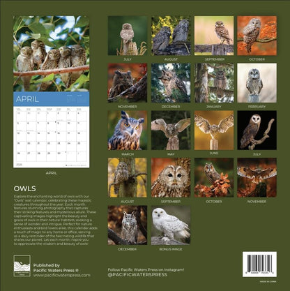 '26 Wall Calendar - Cows, Owls, & Woodland Creatures