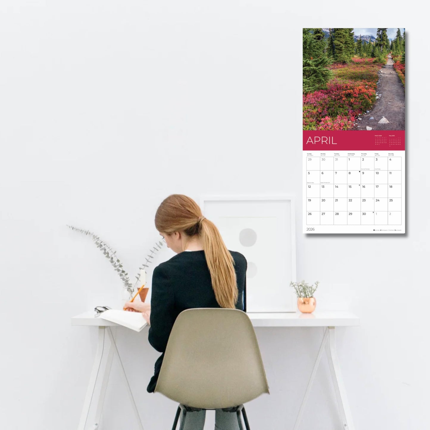 '26 Wall Calendar - Forest Trails - 18mo