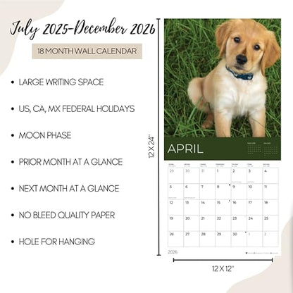 '26 Wall Calendar - Dogs - 18mo