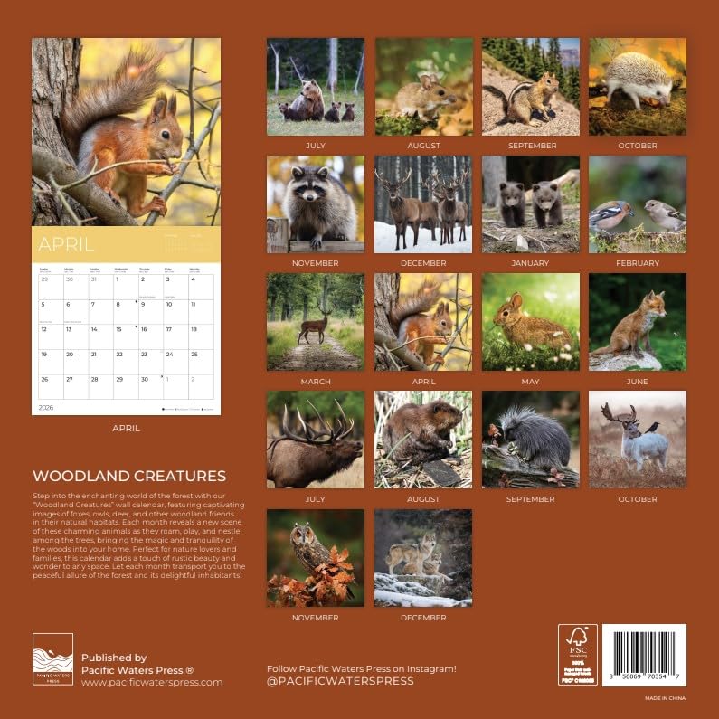 '26 Wall Calendar - Cows, Owls, & Woodland Creatures