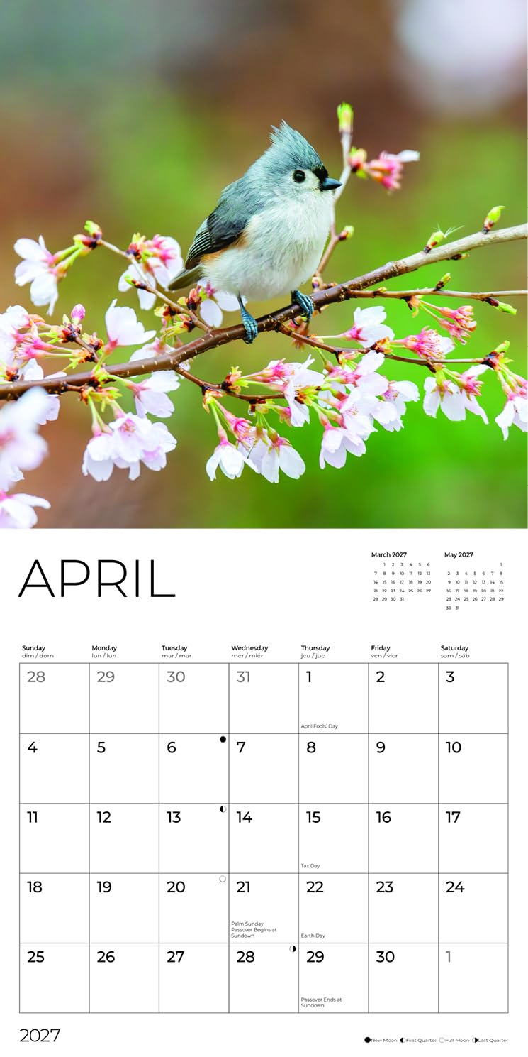'27 Wall Calendar - Bird Watcher