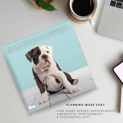 '26 Wall Calendar - Dogs