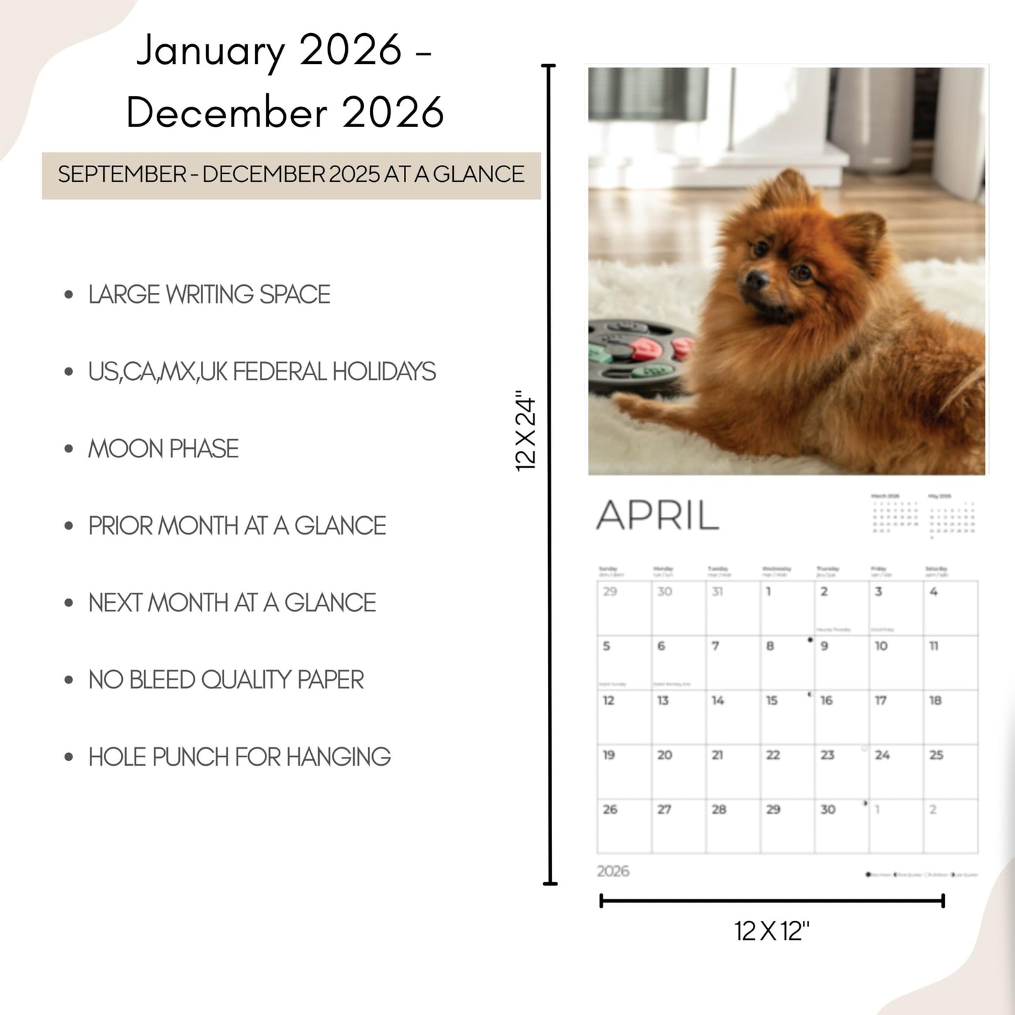 '26 Wall Calendar - Dogs