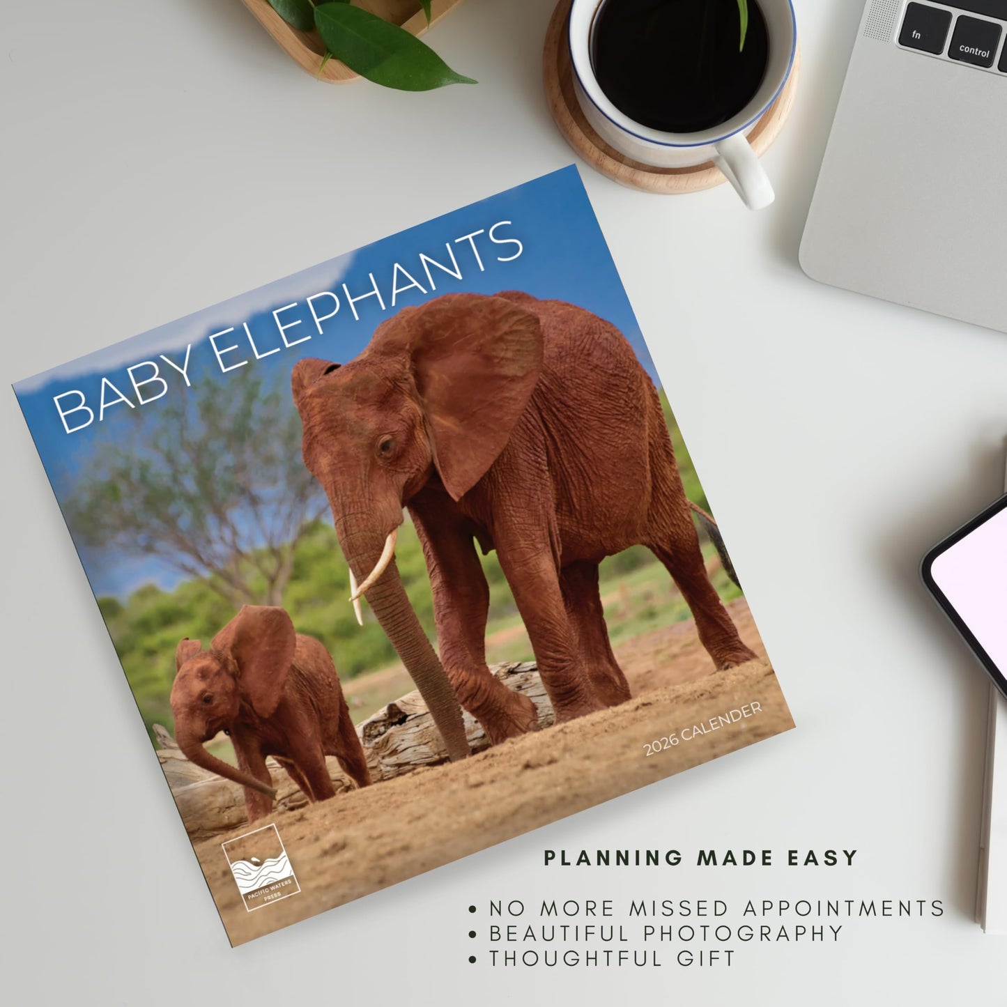 '26 Wall Calendar - Baby Animals