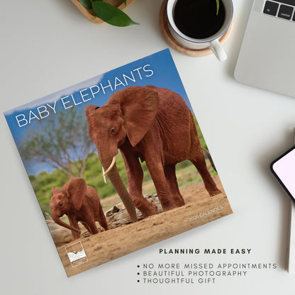 '26 Wall Calendar - Baby Animals