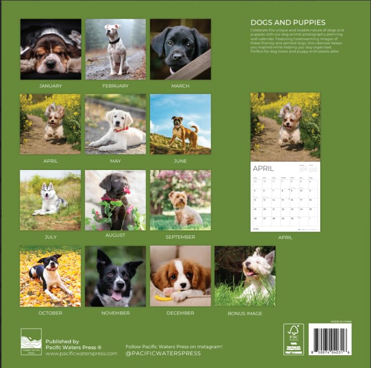 '26 Wall Calendar - Baby Animals