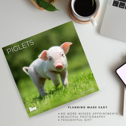 '26 Wall Calendar - Baby Animals
