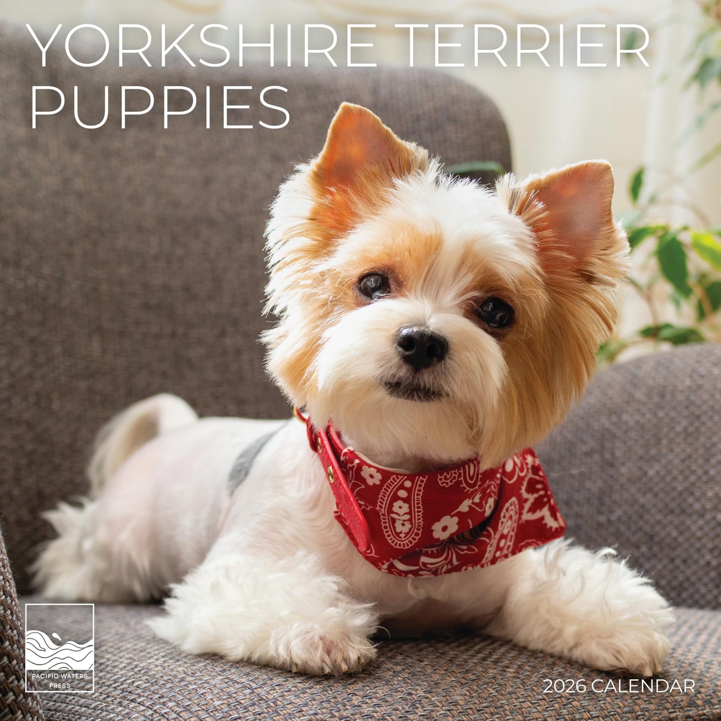 '26 Wall Calendar - Dogs