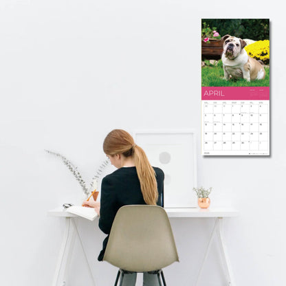 '26 Wall Calendar - Dogs - 18mo