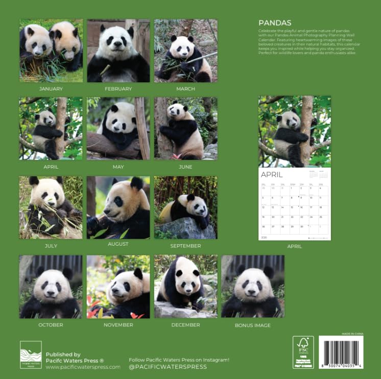 '26 Wall Calendar - Baby Animals