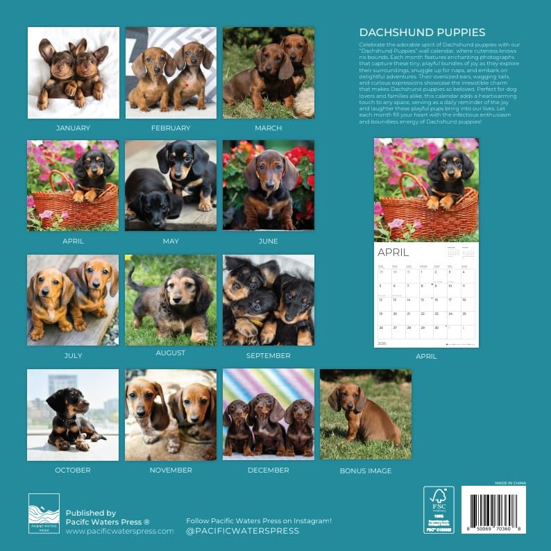 '26 Wall Calendar - Dogs & Puppies