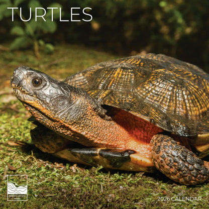'26 Wall Calendar - Nature