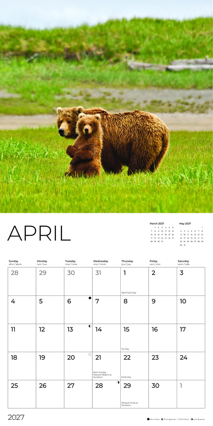 '27 Wall Calendar - Baby Animals & Their Mothers
