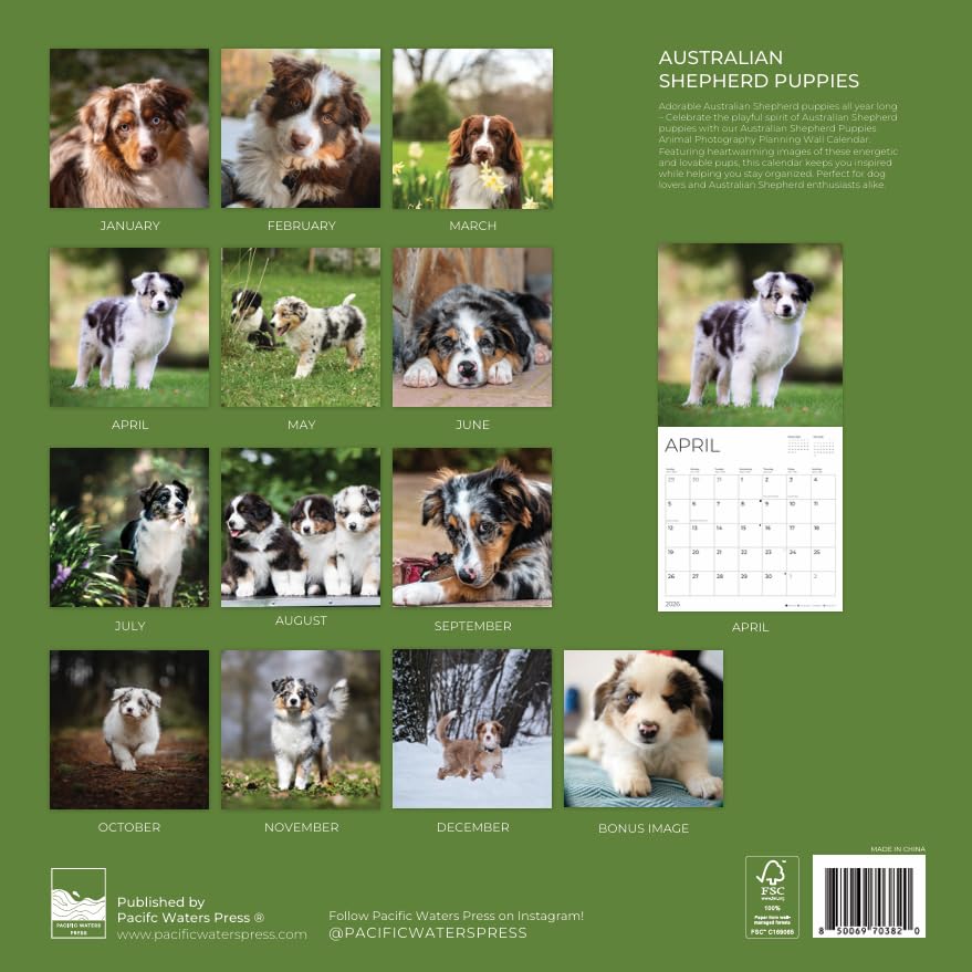 '26 Wall Calendar - Dogs