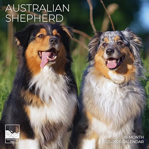 '26 Wall Calendar - Dogs - 18mo