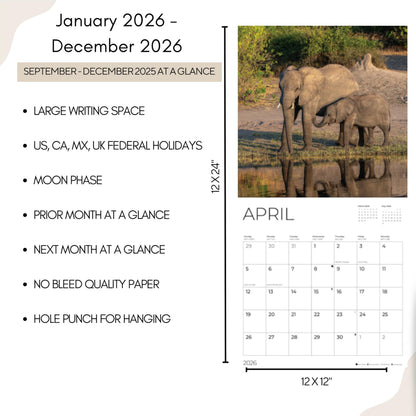 '26 Wall Calendar - Baby Animals