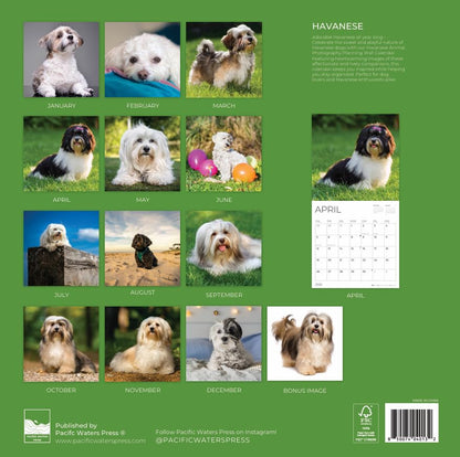 '26 Wall Calendar - Dogs
