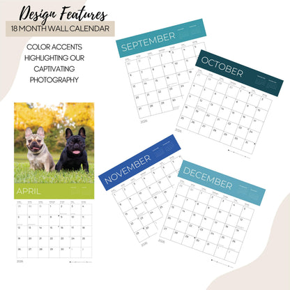 '26 Wall Calendar - Dogs - 18mo
