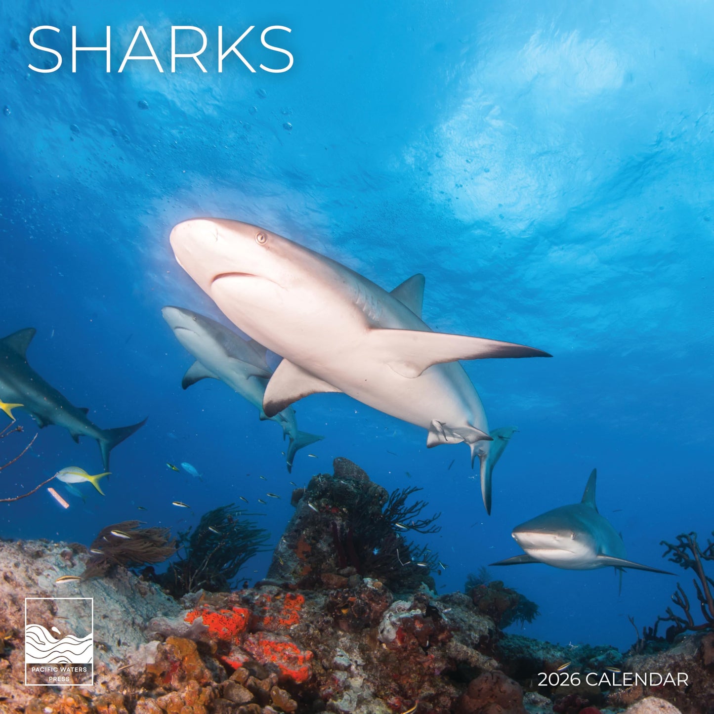 '26 Wall Calendar - Nature
