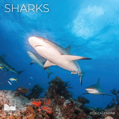 '26 Wall Calendar - Nature
