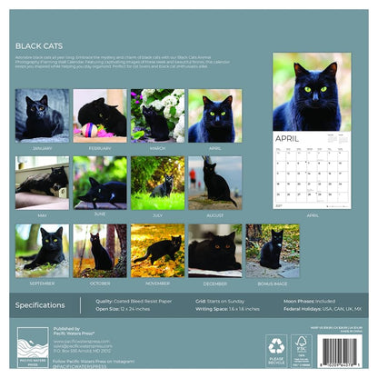 '27 Wall Calendar - Black Cats