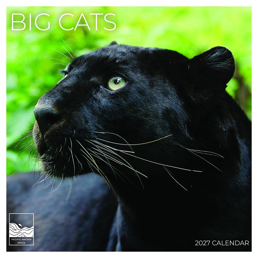 '27 Wall Calendar - Big Cats