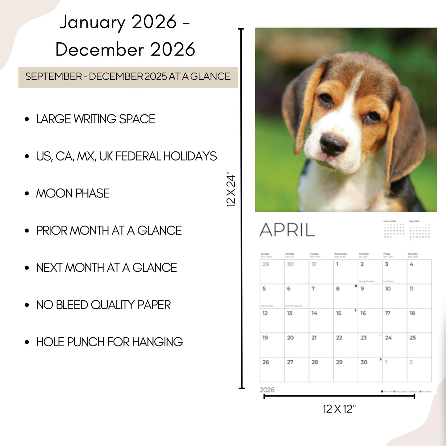 '26 Wall Calendar - Dogs