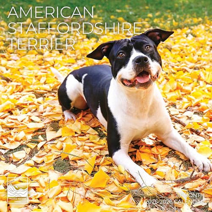 '26 Wall Calendar - Dogs - 18mo