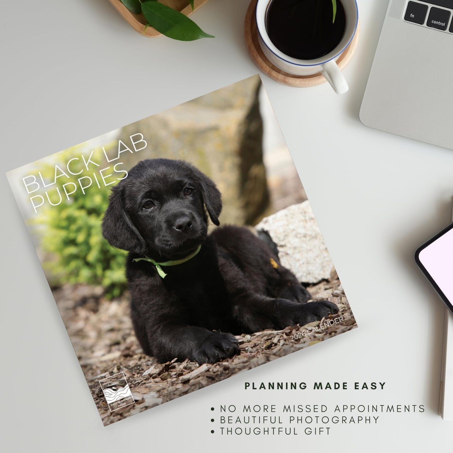 '26 Wall Calendar - Dogs